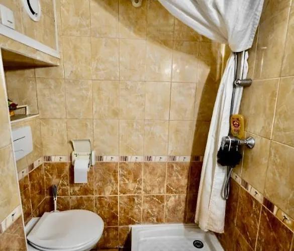 Appartement Sublime - Centré&tout Equipé Grenoble